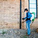 Pest control worker wearing a mask and blue uniform with a backpack sprayer spraying near a brick wall outdoors