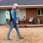 Maintenance worker with a white cap and blue shirt uses a green-and-white backpack sprayer to treat the front yard of a brick house in a suburban setting.