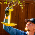 Man in a blue shirt and cap holds a bright yellow model rocket kit outdoors in front of a wooden fence.